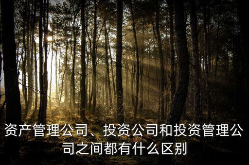 資產(chǎn)管理公司、投資公司和投資管理公司之間都有什么區(qū)別