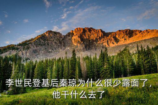 李世民登基后秦瓊為什么很少露面了，他干什么去了