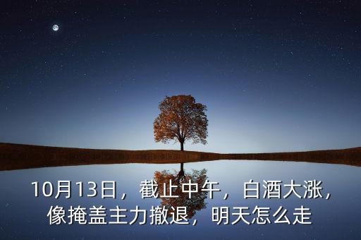 10月13日，截止中午，白酒大漲，像掩蓋主力撤退，明天怎么走