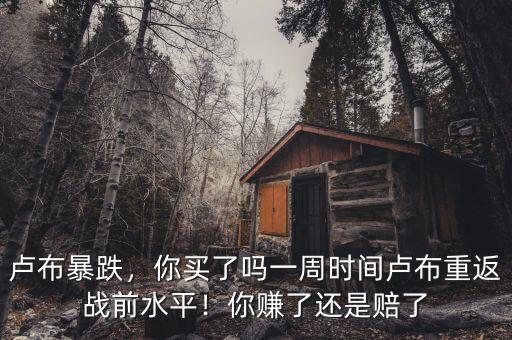 盧布暴跌，你買了嗎一周時間盧布重返戰(zhàn)前水平！你賺了還是賠了