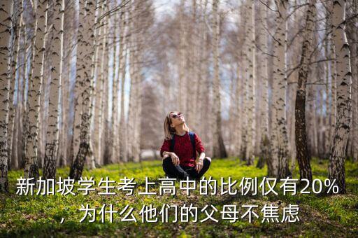 新加坡學(xué)生考上高中的比例僅有20%，為什么他們的父母不焦慮