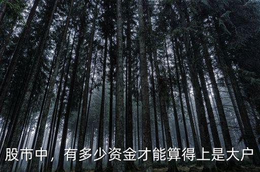 股市中，有多少資金才能算得上是大戶