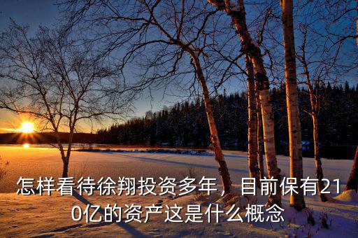 怎樣看待徐翔投資多年，目前保有210億的資產(chǎn)這是什么概念