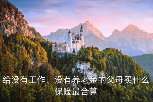 給沒有工作、沒有養(yǎng)老金的父母買什么保險最合算