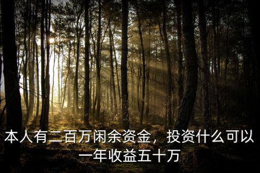 本人有二百萬閑余資金，投資什么可以一年收益五十萬