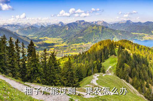 柚子產(chǎn)能過(guò)剩，果農(nóng)怎么辦