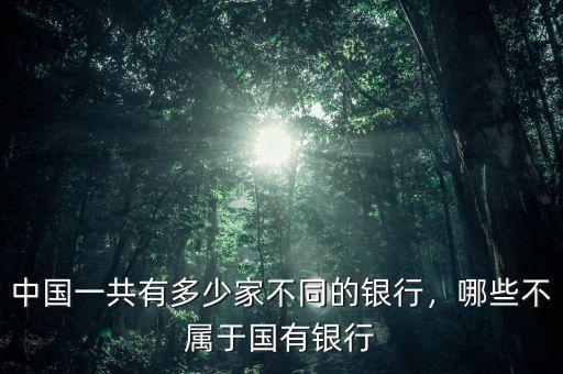 中國一共有多少家不同的銀行，哪些不屬于國有銀行
