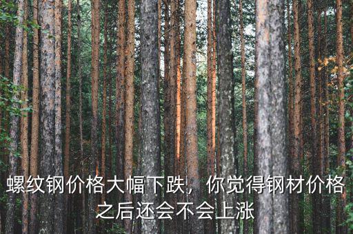 螺紋鋼價(jià)格大幅下跌，你覺得鋼材價(jià)格之后還會(huì)不會(huì)上漲