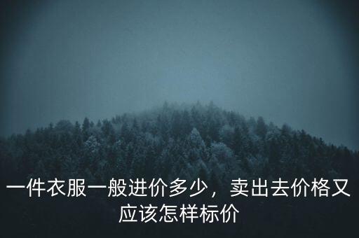 一件衣服一般進價多少，賣出去價格又應(yīng)該怎樣標(biāo)價