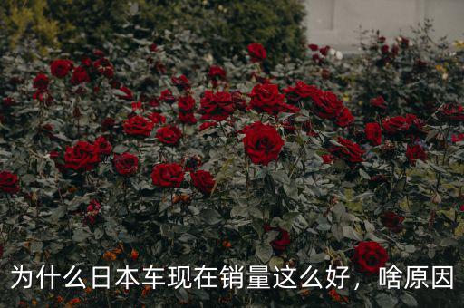 為什么日本車現(xiàn)在銷量這么好，啥原因