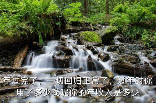年過完了，一切回歸正常了，過年時你用了多少錢呢你的年收入是多少