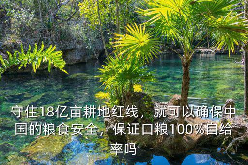 守住18億畝耕地紅線，就可以確保中國的糧食安全，保證口糧100%自給率嗎