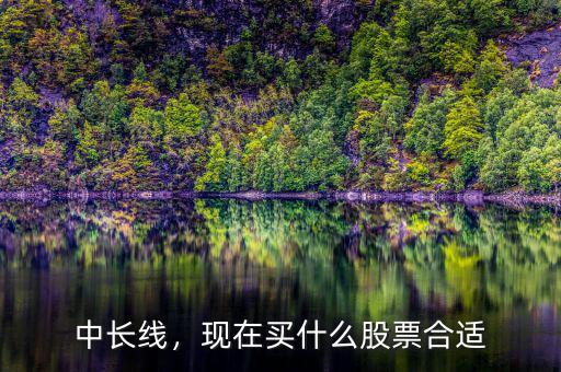 中長線，現(xiàn)在買什么股票合適