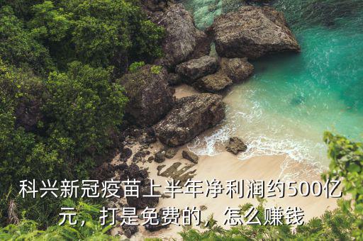 科興新冠疫苗上半年凈利潤約500億元，打是免費的，怎么賺錢