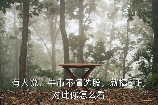 有人說，牛市不懂選股，就搞ETF，對此你怎么看