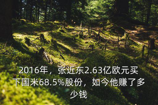 2016年，張近東2.63億歐元買下國米68.5%股份，如今他賺了多少錢