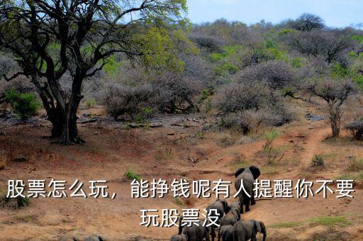 股票怎么玩，能掙錢呢有人提醒你不要玩股票沒