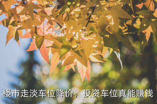 樓市走淡車位降價(jià)，投資車位真能賺錢