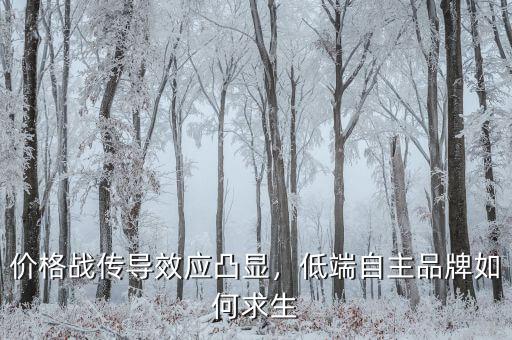 價格戰(zhàn)傳導效應凸顯，低端自主品牌如何求生
