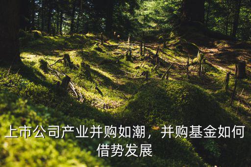 上市公司產業(yè)并購如潮，并購基金如何借勢發(fā)展