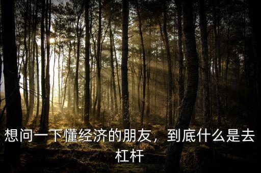 想問一下懂經(jīng)濟的朋友，到底什么是去杠桿