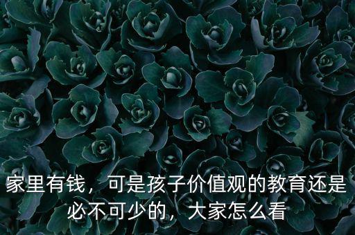 家里有錢，可是孩子價值觀的教育還是必不可少的，大家怎么看