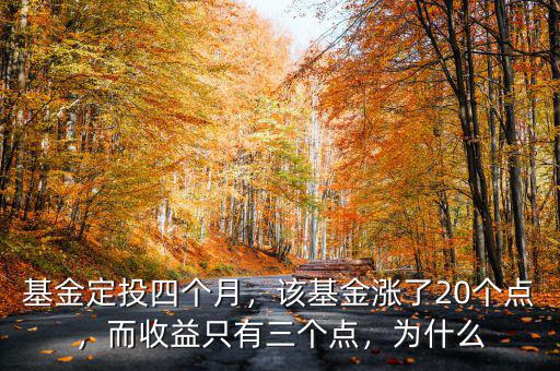 基金定投四個月，該基金漲了20個點，而收益只有三個點，為什么