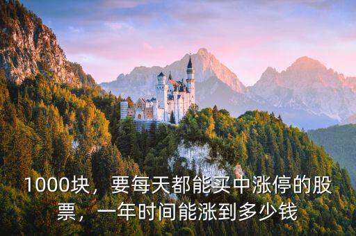 1000塊，要每天都能買中漲停的股票，一年時(shí)間能漲到多少錢