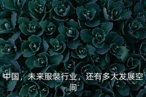 中國，未來服裝行業(yè)，還有多大發(fā)展空間