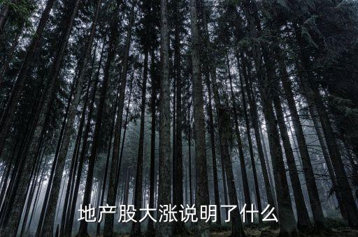 地產股大漲意味著什么,地產股大漲說明了什么