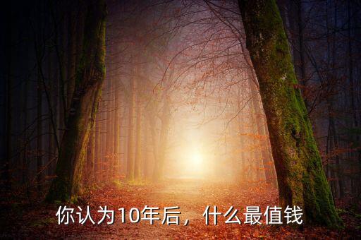 你認(rèn)為10年后，什么最值錢