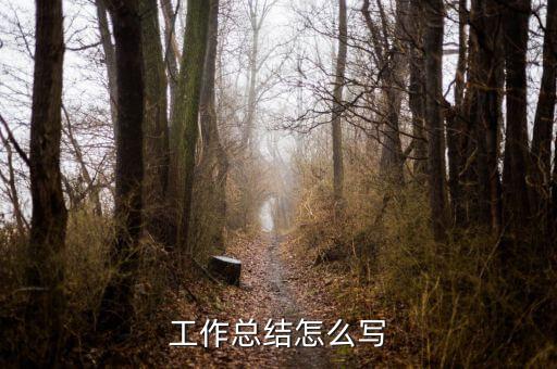 工作總結(jié)怎么寫(xiě)