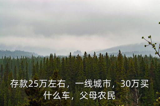 存款25萬(wàn)左右，一線城市，30萬(wàn)買什么車，父母農(nóng)民