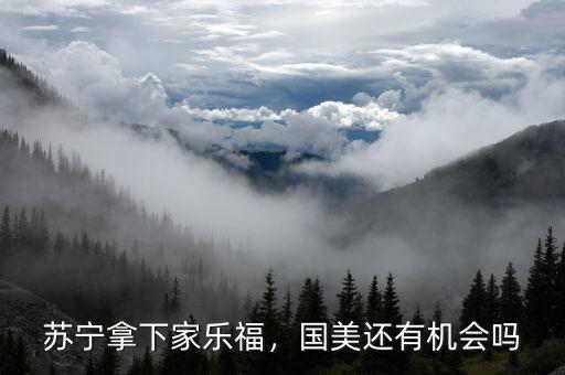 蘇寧拿下家樂福，國美還有機會嗎