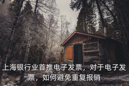 上海銀行業(yè)首推電子發(fā)票，對(duì)于電子發(fā)票，如何避免重復(fù)報(bào)銷