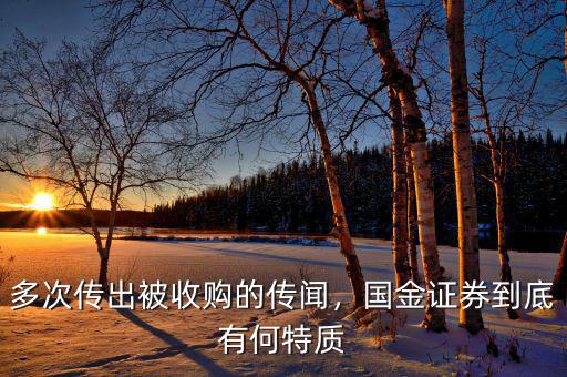 多次傳出被收購(gòu)的傳聞，國(guó)金證券到底有何特質(zhì)