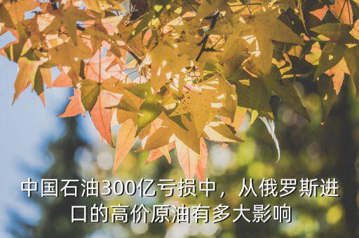 中國石油300億虧損中，從俄羅斯進(jìn)口的高價(jià)原油有多大影響