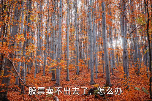 股票賣不出去了，怎么辦