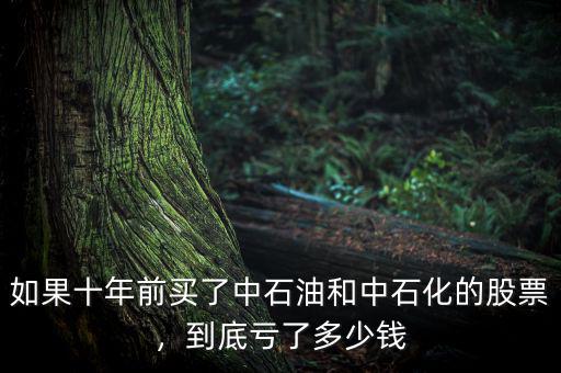 如果十年前買了中石油和中石化的股票，到底虧了多少錢