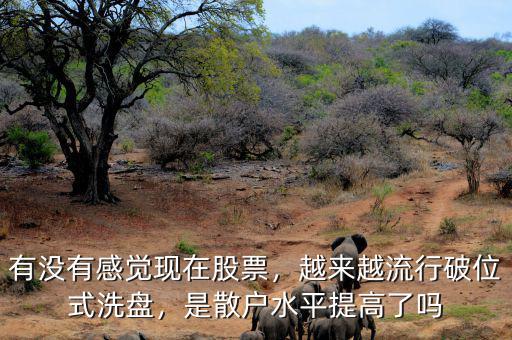 有沒有感覺現(xiàn)在股票，越來越流行破位式洗盤，是散戶水平提高了嗎