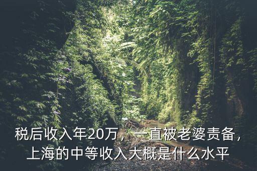 稅后收入年20萬，一直被老婆責備，上海的中等收入大概是什么水平