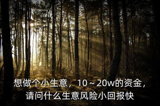 想做個(gè)小生意，10～20w的資金，請(qǐng)問(wèn)什么生意風(fēng)險(xiǎn)小回報(bào)快
