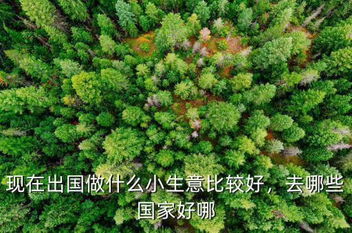 現(xiàn)在出國做什么小生意比較好，去哪些國家好哪