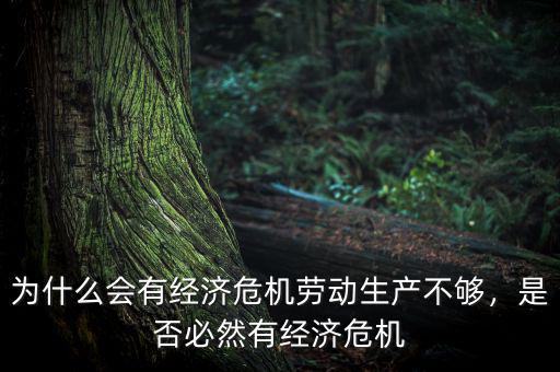 為什么會有經(jīng)濟危機勞動生產(chǎn)不夠，是否必然有經(jīng)濟危機
