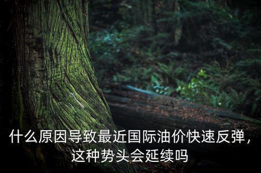 什么原因導致最近國際油價快速反彈，這種勢頭會延續(xù)嗎