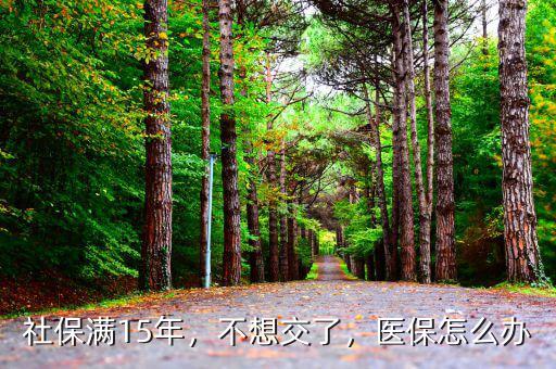 社保滿15年，不想交了，醫(yī)保怎么辦