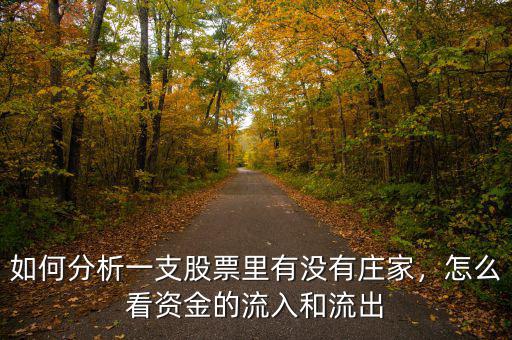 如何分析一支股票里有沒有莊家，怎么看資金的流入和流出