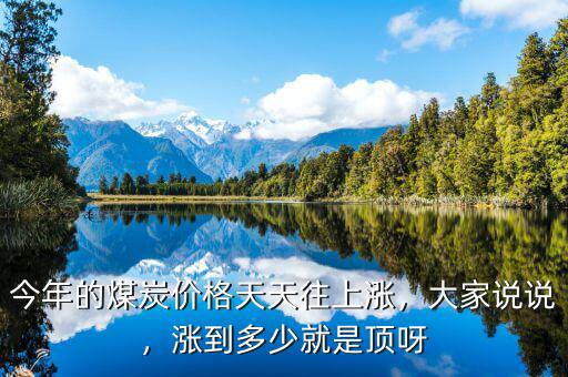 今年的煤炭價格天天往上漲，大家說說，漲到多少就是頂呀