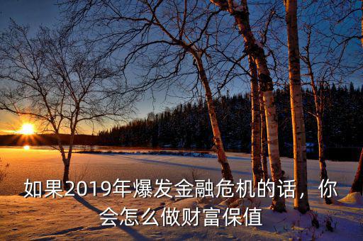 如果2019年爆發(fā)金融危機的話，你會怎么做財富保值