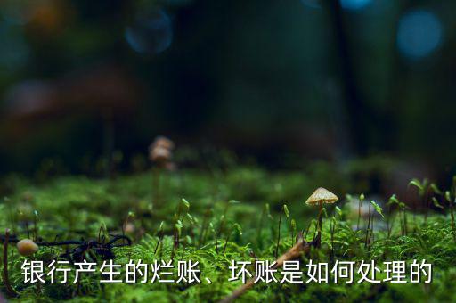 銀行產(chǎn)生的爛賬、壞賬是如何處理的